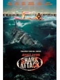 E715 : Jersey Shore Shark Attack ฉลามคลั่งทะเลเลือด DVD Master 1 แผ่นจบ