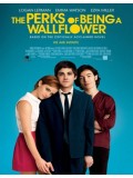 E868 : The Perks of Being A Wallflower วัยป่วนหัวใจปึ้ก DVD 1 แผ่น