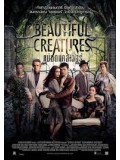 E914 : Beautiful Creatures แม่มดแคสเตอร์ DVD 1 แผ่น