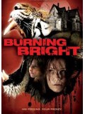 E945 : Burning Bright ขังนรกบ้านเสือดุ DVD Master 1 แผ่นจบ