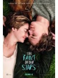 EE1275 : The Fault in Our Stars ดาวบันดาล DVD 1 แผ่น