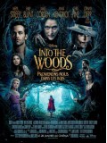 EE1387 : Into The Woods มหัศจรรย์คำสาปแห่งป่าพิศวง DVD 1 แผ่น