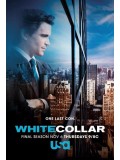 Se1184: ซีรีย์ฝรั่ง  White Collar Season 6 [ซับไทย]  DVD 2 แผ่นจบ