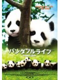 jm016 : หนังญี่ปุ่น Panda Diary อู๊ลั่นล้า แพนด้ามาเป็น10 [พากย์ไทย] DVD 1 แผ่น