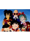 ct0495 : การ์ตูน Dragonball ตอนเด็ก 8 แผ่นจบ