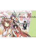 ct0403 : การ์ตูน Love Hina บ้านอลเวง 3 แผ่น