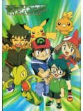 ct0341 : การ์ตูน Pokemon (ภาค6) 3 แผ่น