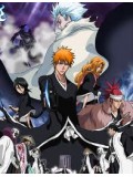 ct0288 : Bleach The Movie 2 The Diamond Dust Rebellion DVD Master 1 แผ่น