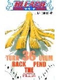 ct0308 : Bleach 11 Turn Back The Pendulum บลีช เทพมรณะ ตอนอดีตกาล( เสียงไทย/ญี่ปุ่น) 2 แผ่นจบ