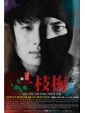 kr527 : หนังเกาหลี The Return of Iljimae จอมโจรจอมใจ อิลจิแม [พากย์ไทย] 3 แผ่นจบ
