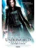 EE2700 : Underworld : Awakening สงครามโค่นพันธุ์อสูร 4 กำเนิดใหม่ราชินีแวมไพร์ DVD 1 แผ่น