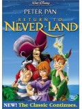 am0082 : หนังการ์ตูน Peter Pan in Return to Never Land DVD 1 แผ่น