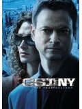 se0307 : ซีรีย์ฝรั่ง CSI : New york season 4 ไขคดีปริศนานิวยอร์ค ปี 4 [เสียงไทย+eng] DVD 6 แผ่นจบ