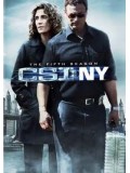 se0509 : ซีรีย์ฝรั่ง CSI : New york season 5 ไขคดีปริศนานิวยอร์ค ปี 5 [เสียงไทย+eng] DVD 7 แผ่นจบ