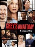 se0037 : ซีรีย์ฝรั่ง Grey's Anatomy Season 1 แพทย์มือใหม่หัวใจเกินร้อย ปี 1 [ซับไทย] 2 แผ่นจบ