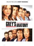 se0890 : ซีรีย์ฝรั่ง Grey's Anatomy Season 7 แพทย์มือใหม่หัวใจเกินร้อย ปี 7 [ซับไทย] 6 แผ่นจบ