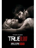 se0410 : ซีรีย์ฝรั่ง True Blood Season 2 แวมไพร์พันธุ์ใหม่ ปี 2 [ซับไทย] 6 แผ่นจบ