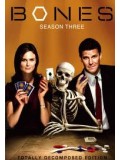se0268 : ซีรีย์ฝรั่ง Bones Season 3 พลิกซากปมมรณะ ปี 3 [ซับไทย] 4 แผ่นจบ