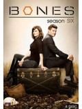 se0796 : ซีรีย์ฝรั่ง Bones Season 6 พลิกซากปมมรณะ ปี 6 [ซับไทย] 12 แผ่นจบ