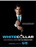 se0516 : ซีรีย์ฝรั่ง White Collar Season 1 [ซับไทย] 7 แผ่นจบ