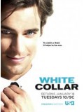 se0710 : ซีรีย์ฝรั่ง White Collar Season 2 [ซับไทย] 9 แผ่นจบ