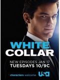 se0854 : ซีรีย์ฝรั่ง White Collar season 3  [ซับไทย] 8 แผ่นจบ