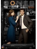 se1015 : ซีรีย์ฝรั่ง Bones Season 7 พลิกซากปมมรณะ ปี 7 [ซับไทย] 4 แผ่นจบ