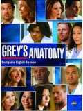 se0891 : ซีรีย์ฝรั่ง Grey's Anatomy Season 8 แพทย์มือใหม่หัวใจเกินร้อย ปี 8 [ซับไทย] 6 แผ่นจบ