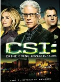 se1090 : ซีรีย์ฝรั่ง CSI : Las Vegas season 13ไขคดีปริศนาลาสเวกัส ปี 13 [เสียงไทย+eng] DVD 6 แผ่นจบ 