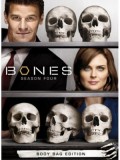 se0924: ซีรีย์ฝรั่ง BONES Season 4 พลิกซากปมมรณะ ปี4 [เสียงไทย] 7 แผ่นจบ