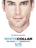 se1105 : ซีรีย์ฝรั่ง White Collar Season 5 [ซับไทย] DVD 4 แผ่นจบ