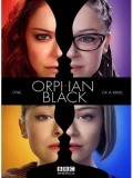 se1127 :ซีรีย์ฝรั่ง Orphan Black Season 2 [เสียงไทย+บรรยายไทย] 3 แผ่นจบ