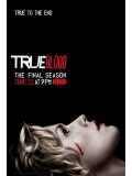 se1192 : ซีรีย์ฝรั่ง True Blood Season 7 [The Final Season] [เสียงeng+บรรยายไทย] 4 แผ่นจบ