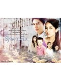 st0598 : ละครไทย ดุจดาวดิน ( สเตฟาน + อคัมย์สิริ ) 4 แผ่นจบ