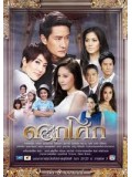 st0637 : ละครไทย ดอกโศก 4 แผ่นจบ