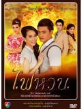 st0897 :  ไฟหวน (ธนพล - ธัญญะสุภางค์ ) 4 แผ่น