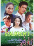 st0305 : ใยเสน่หา (รวิซ+จอย) 3 แผ่น