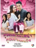 st0960 : คุณแม่เฉพาะหน้า คุณย่าเฉพาะกิจ (อัษฎาวุธ+ พรพรรณ ) 8 แผ่นจบ