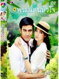 st0988 ละครไทย พรมแดนหัวใจ ( เอส กันตพงศ์-แพนเค้ก) 5 แผ่น