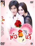 st0997 ละครไทย พ่อไก่แจ้ (หลุยส์ สก๊อต+ จิตตาภา แจ่มปฐม) 4 แผ่น