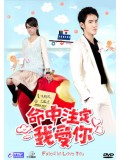 TW162 ซีรีย์ไต้หวัน ชะตารัก ลิขิตเลิฟ Fated to love you (พากย์ไทย) DVD 7 แผ่น