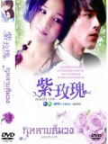 TW152 ซีรีย์ไต้หวัน กุหลาบสีม่วง Roseate Love (พากย์ไทย) 4 แผ่นจบ