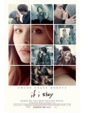 EE1477 : If I Stay ถ้าฉันอยู่ DVD 1 แผ่น