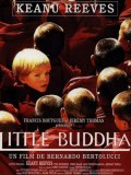 EE1475 : Little Buddha พระพุทธเจ้า มหาศาสดา โลกลืมไม่ได้ DVD 1 แผ่น