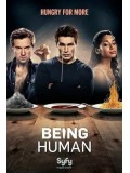 Se1193  ซีรีย์ฝรั่ง Being Human [US] Season 4 (ซับไทย)  DVD 3 แผ่นจบ