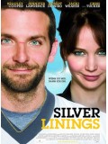 E900: หนังฝรั่ง Silver Linings Playbook ลุกขึ้นใหม่ หัวใจมีเธอ DVD Master 1 แผ่นจบ